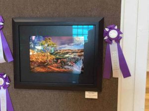 Best of Show in the Fine Art Photography competition at the Utah State Fair