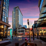 500_0663-Edit-Edit-Edit