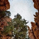 Bryce Canyon National Park Landscape Photography