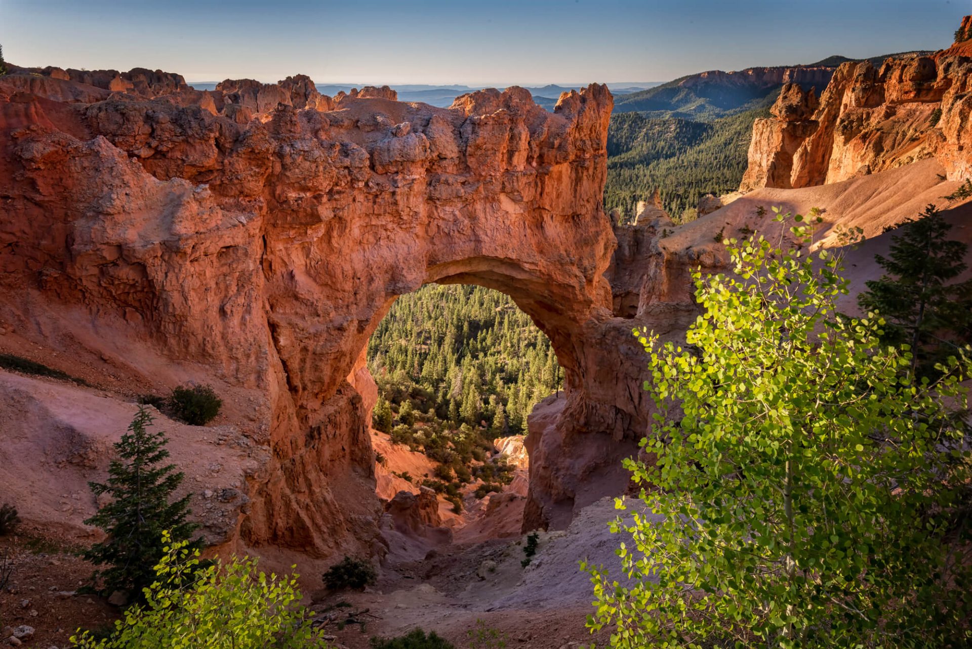 Bryce Canyon National Park - Images by Dave Koch Photography
