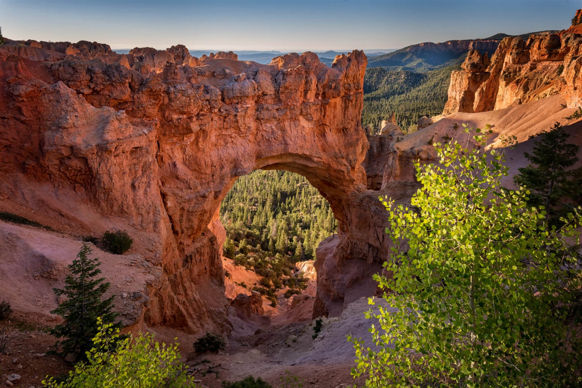 Bryce Canyon National Park Images By Dave Koch Photography