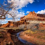 Capitol Reef Landscape Photography