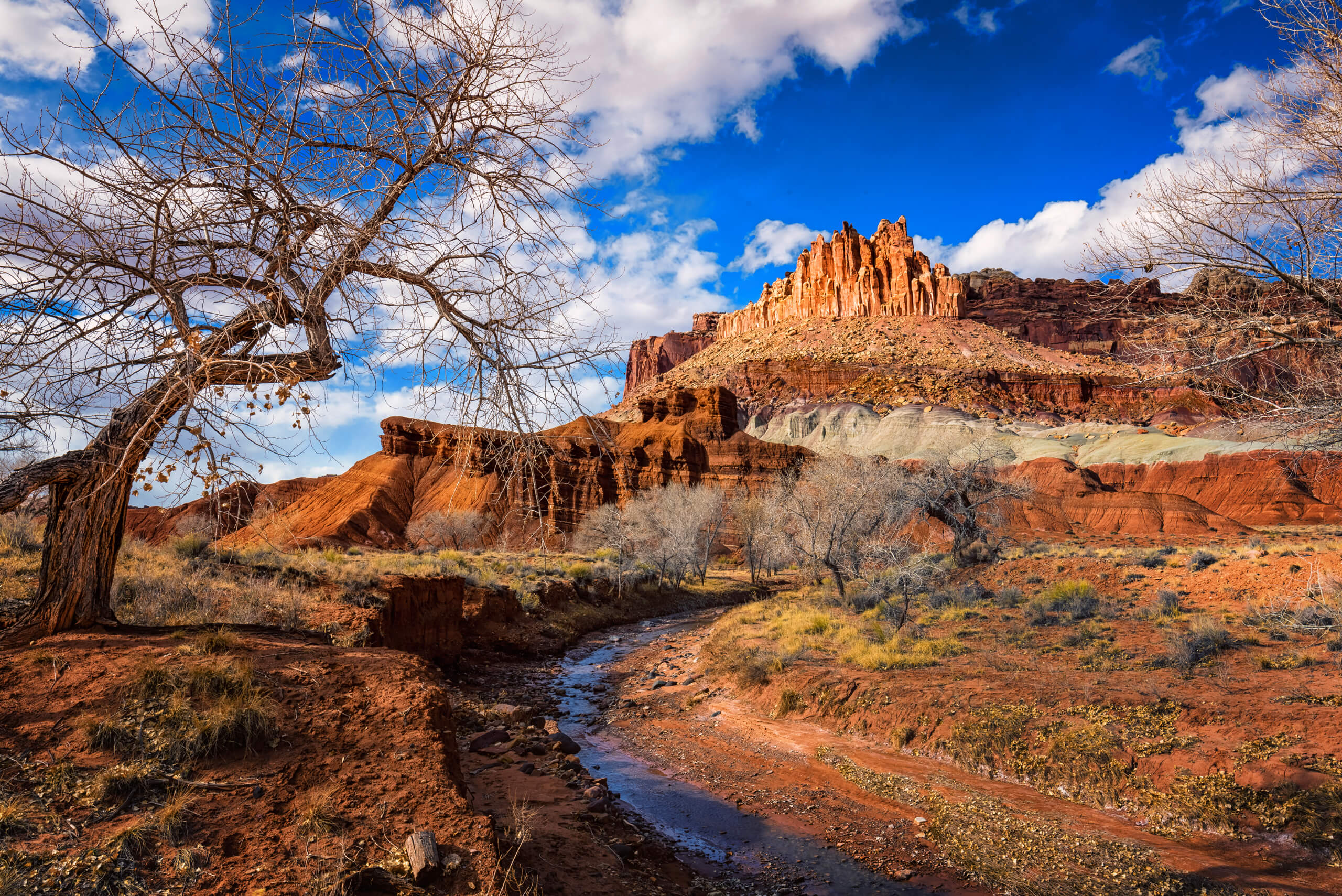 Castle at Capitol Reef