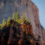 Zion_Cliff