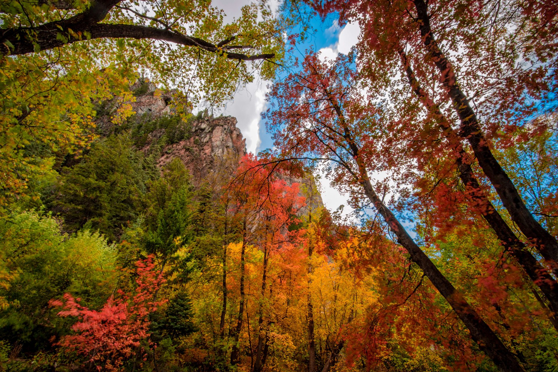 Fall Color Images by Dave Koch Photography