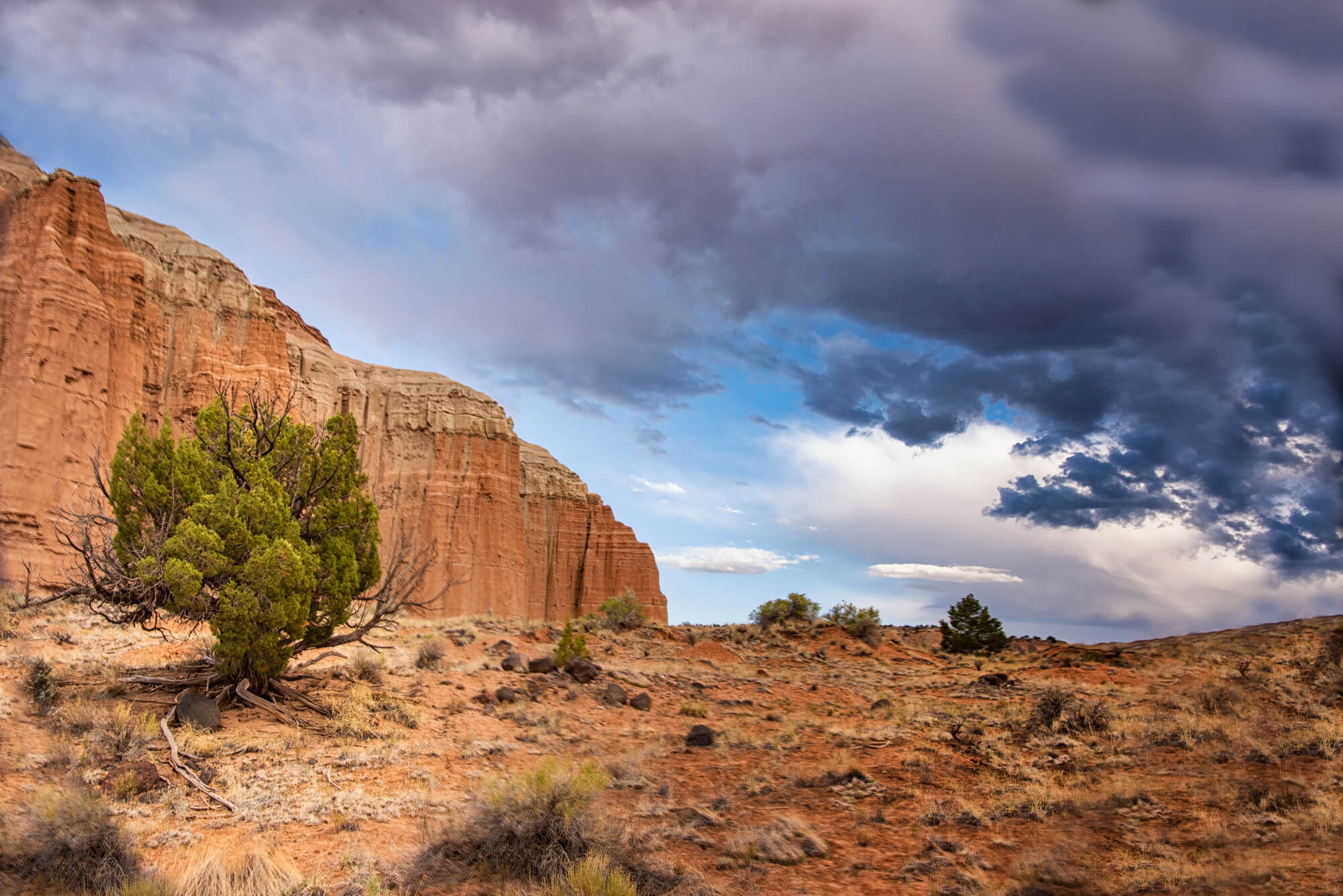 Capitol Reef Photography