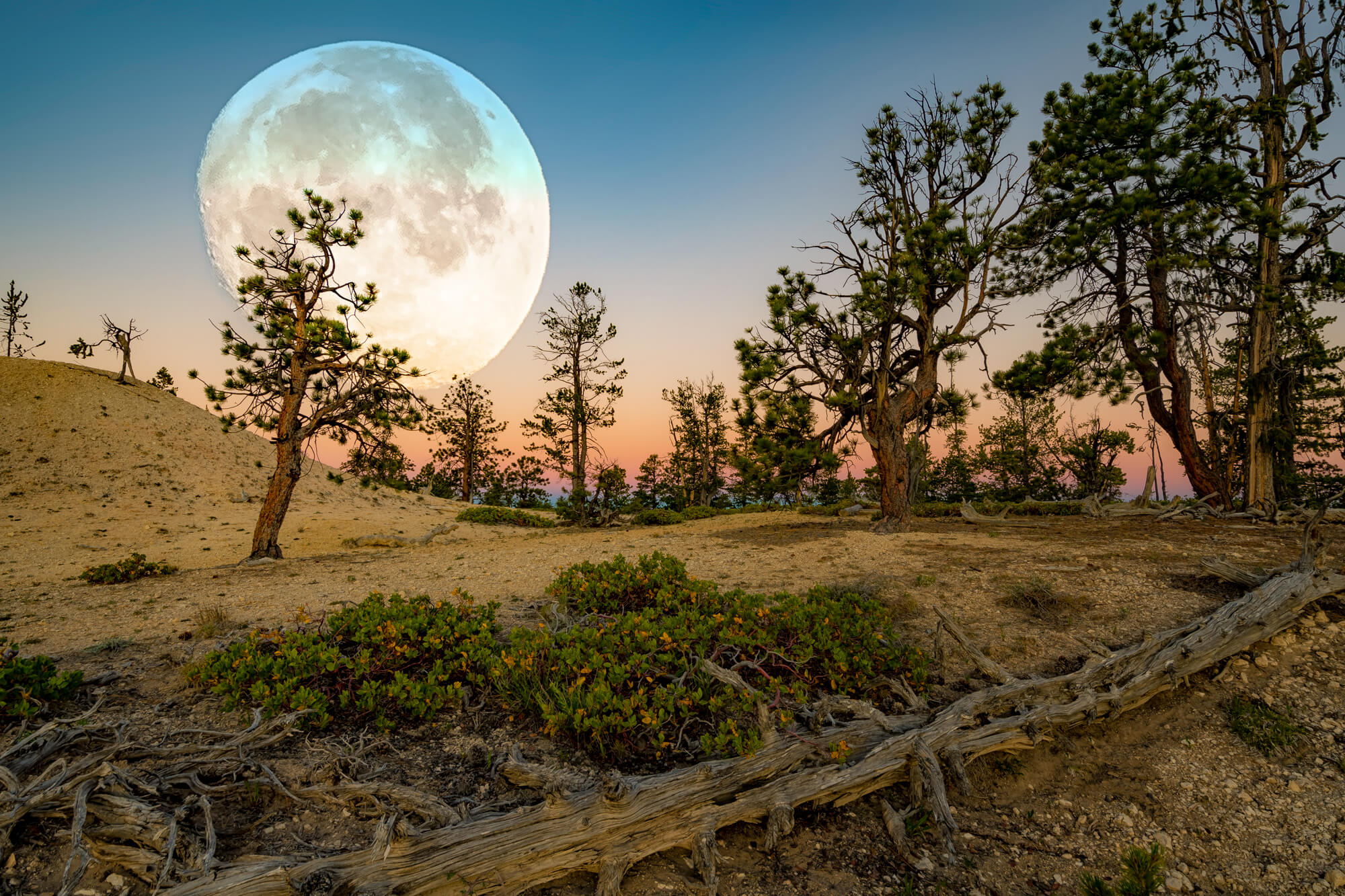 Bryce Canyon Moon