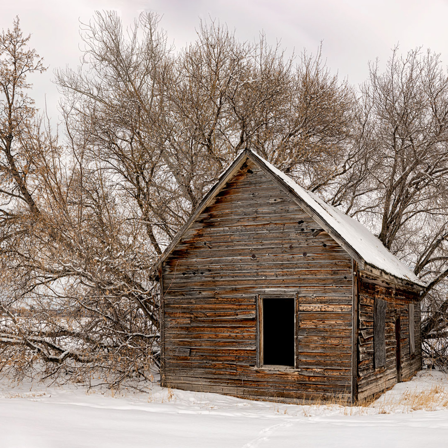 Cabin in the Snow